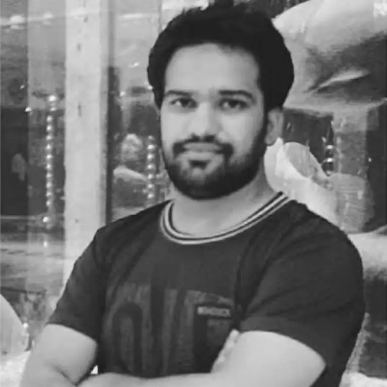 Mueed Mirza